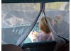 Kinderbett bus - Der absolute Testsieger